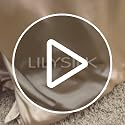 LILYSILK 100% Mulberry Silk Fitted Sheet Twin 19 Momme Deep 16" Pocket White