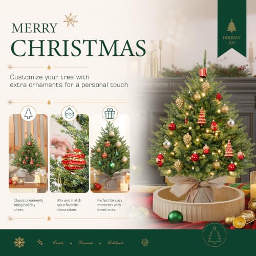 Alupssuc 2ft Prelit Mini Christmas Tree for Tabletop Desk Decor