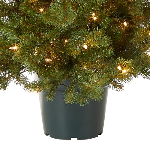 National Tree Company 3ft Pre-Lit Hampton Spruce Artificial Christmas Tree