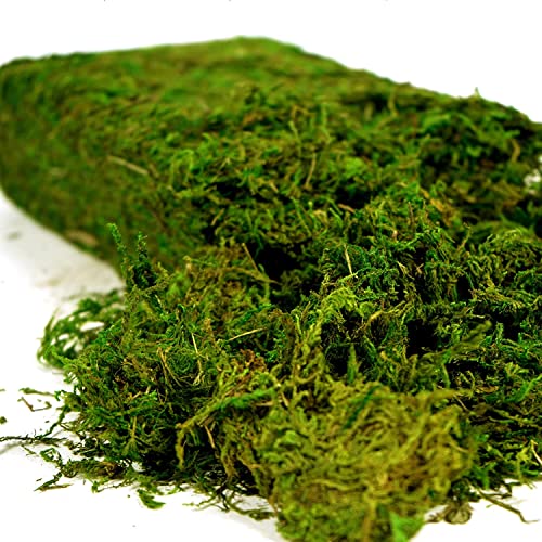 Artificial Decorative Moss, 16oz Faux Green Moss for Crafts and Terrariums