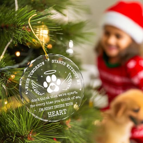 Pet Memorial Plexiglass Ornament 3x3 in | Keepsake Christmas Gift for Dogs & Cats