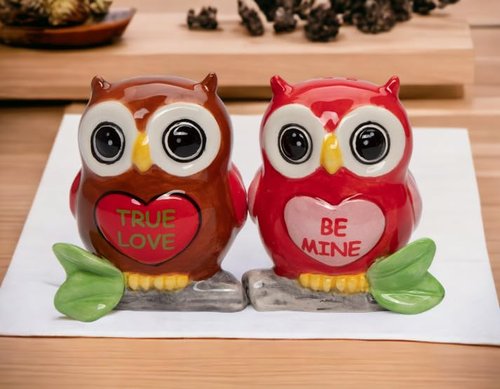 21046 Fine Ceramic Valentine Love Owl Couple Salt & Pepper Shakers Set, 2-3/4" H