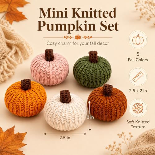 Mini Knitted Pumpkin Set of 5 - Fall Decor, Thanksgiving Centerpiece