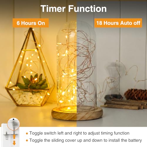 Litogo 20 Pack Fairy Lights Battery Operated with Timer, 10ft Warm White String Lights