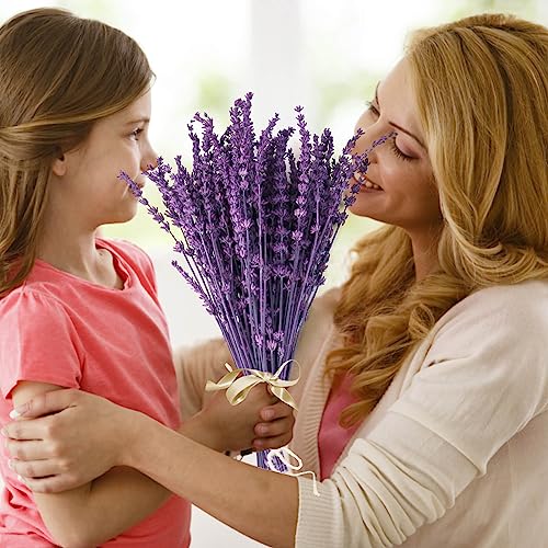 Preserved Lavender Flowers Bouquet - 15-17" Natural Dried Stems Decor