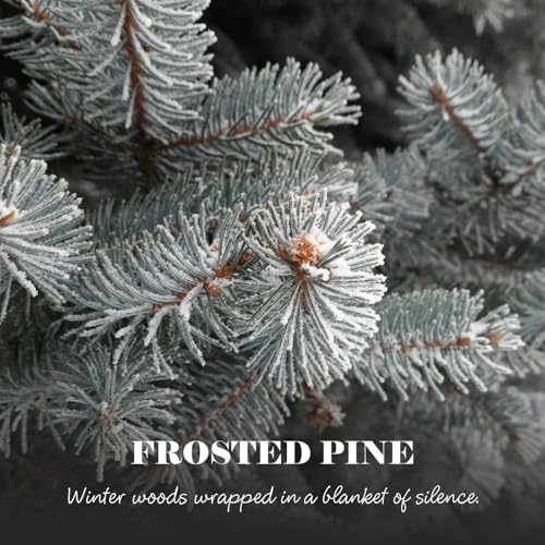 Frosted Pine Christmas Candle - 8.1oz Soy Wax Holiday Decor Gift for Winter