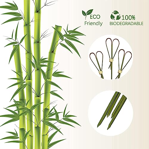 HXYCNNA 100 Cyan Heart-Shaped Bamboo Cocktail Picks 4.7 Inch for Appetizers