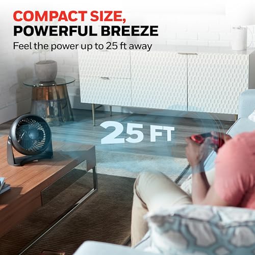 Honeywell TurboForce Air Circulator Tabletop Fan, 3-Speed Quiet Personal Fan