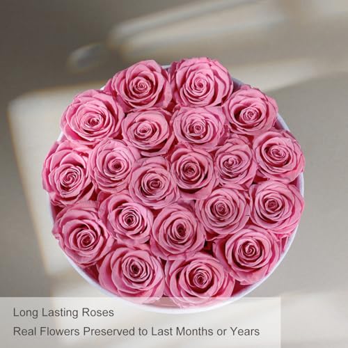 20 Preserved Real Roses in Luxury Velvet Gift Box - Long Lasting Flowers