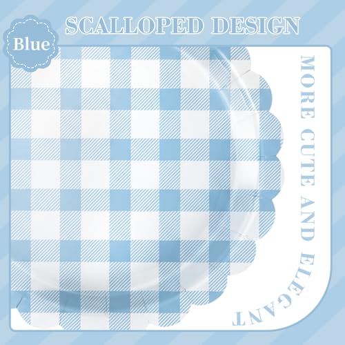 Light Blue Gingham Party Supplies Set for Wedding & Baby Showers - 175 Pieces
