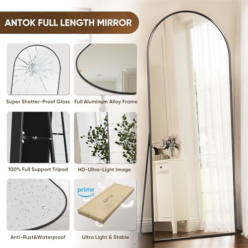 Arched Full Length Floor Mirror 71"x28" Black Metal Frame Wall Mount