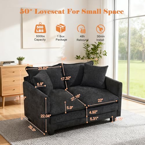 50-Inch Modern 2-Seater Loveseat Sofa with Deep Cushions and Pillows