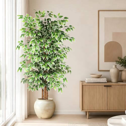 6FT Artificial Ficus Tree with Natural Wood Trunk - Faux Indoor Plant