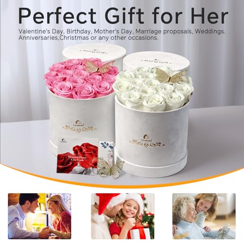 16 Preserved Forever Roses in Luxury Suede Gift Box - Sweet Pink
