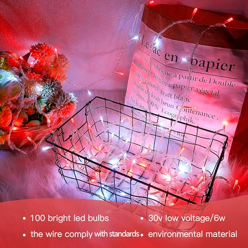 Hopolon 33 FT 100 LED String Lights Indoor Outdoor,Red and White