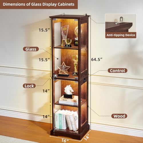 Narrow Glass Display Cabinet with Motion-Sensor Light, Walnut Wood