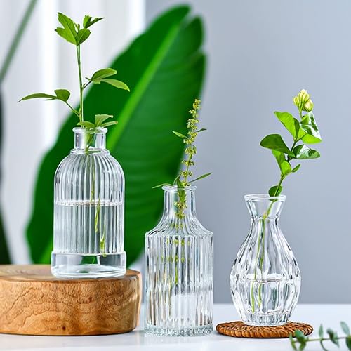 Clear Glass Bud Vases Set of 32 - Small Mini Flower Vases for Centerpieces