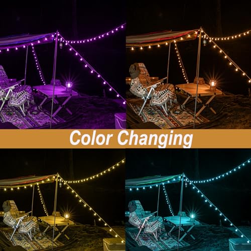 50ft Color Changing Globe String Lights - 75 LED USB Powered Lights with Remote