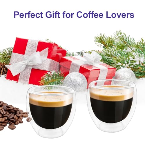 HomeyEra Double Wall Glass Espresso Cups Set of 2, 3oz Insulated Mugs