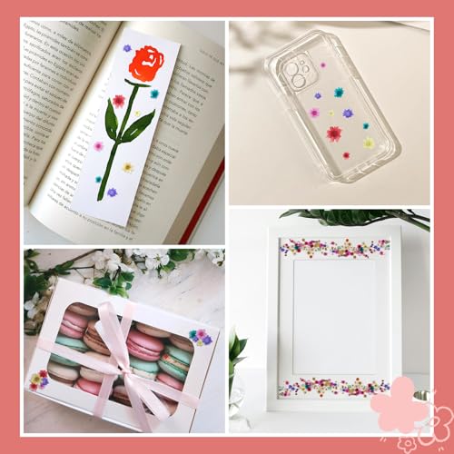 300 Pcs Mini Dried Flowers Bulk for Resin Art, DIY Crafts & Jewelry Making