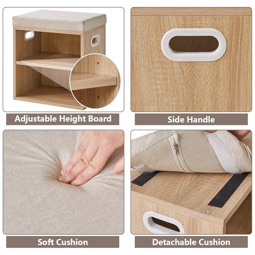 Small Shoe Storage Bench with Padded Cushion, 2-Tier Entryway Shoe Rack