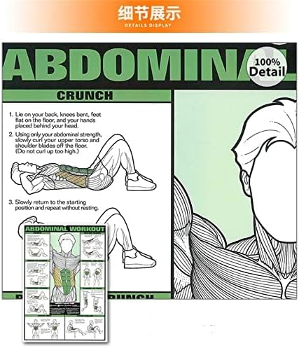 Skiennix Workout Chart Posters - 6PCS Motivational Gym Decor for Home | Fitness Exercise Guides