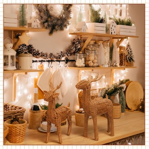 Bucherry 2-Pack Rattan Woven Christmas Reindeer Decor Set