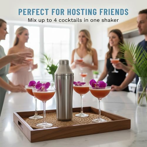 Elevated Craft Hybrid Cocktail Shaker Vacuum Insulated Stainless Steel 28 oz