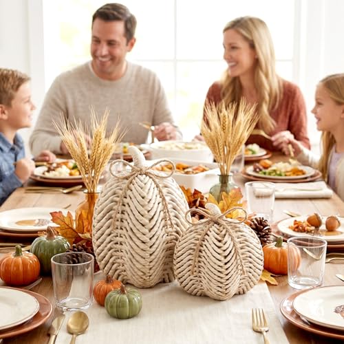 Set of 2 Resin Pumpkin Figurines, Faux Rattan White Fall Tabletop Decor