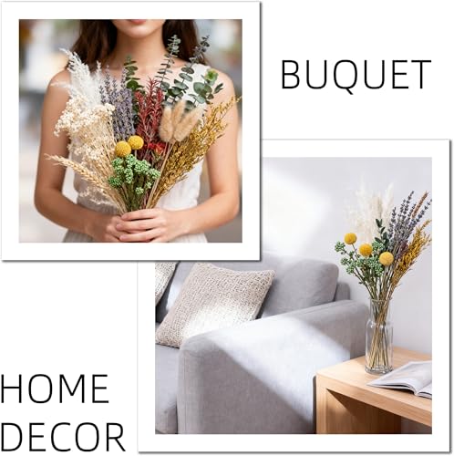 12-Variety Natural Dried Flower DIY Kit, 10-12 Inch Floral Decor