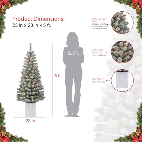 Set of 2 5ft Pre-Lit Flocked Western Spruce Christmas Trees, 169 Tips, 70 Lights