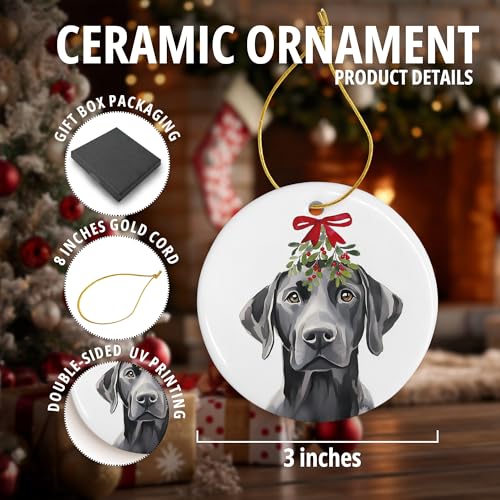 DIENADFX Labrador Mistletoe Ceramic Christmas Ornament – Black Labrador Gift, Double-Sided 3"