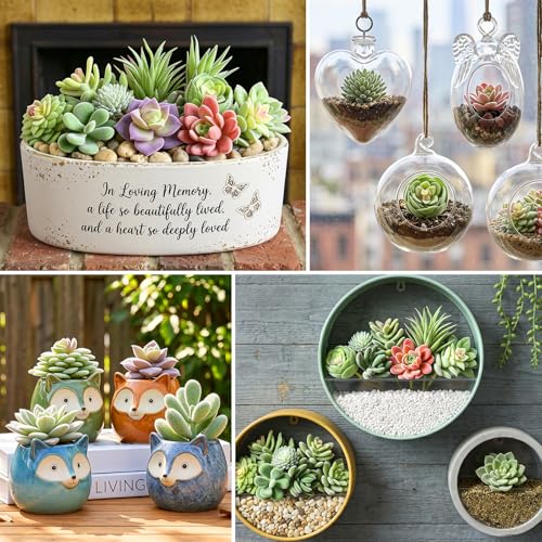 12 Pcs Mini Artificial Succulents, Flocked Faux Succulent Plants for Decor