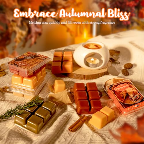 Natural Soy Wax Melts for Warmers - Fall Scented Autumn Fragrance Cubes