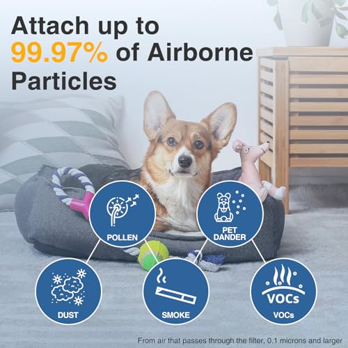 6-Pack HEPA Air Purifier Replacement Filters for 100 200 300 Series