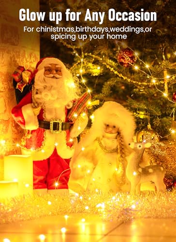 Minetom 33 ft 100 LED USB Fairy Lights with Remote and Timer
