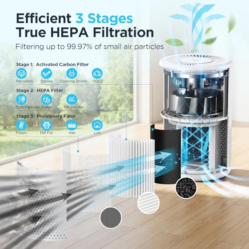 Large Room Air Purifier with H13 True HEPA Filter and Night Light