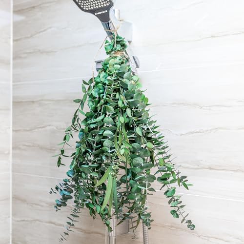 12PCS Natural Dried Eucalyptus Stems for Shower and Home Decor