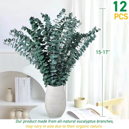 12 Pcs Preserved Eucalyptus Stems - 17-Inch Real Dried Leaves for Home Decor