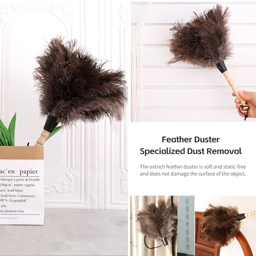 14-Inch Natural Ostrich Feather Duster with Wooden Handle & Hanging Loop