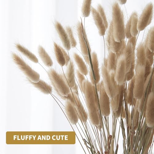 120pcs Dried Bunny Tails Grass 17-Inch Natural Pampas Floral Arrangement