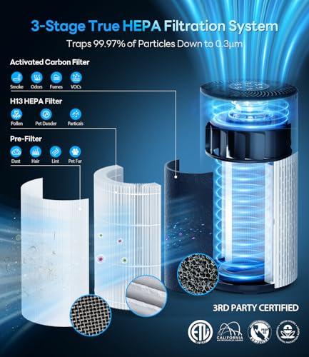 Large Room Air Purifier with True HEPA Filter and 20dB Sleep Mode