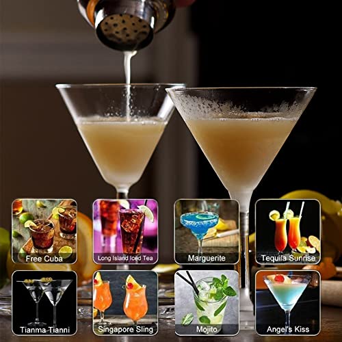 Delidge 8oz (250ml) Cocktail Shaker - Mini Martini Barware, Leakproof Stainless Steel