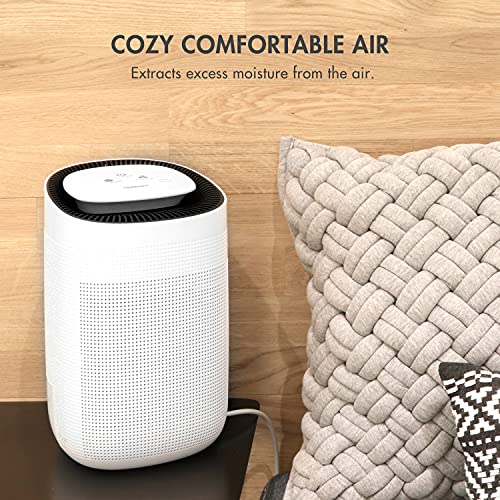 Compact 1000ml Air Dehumidifier with True HEPA Air Purifier and Auto Shutoff