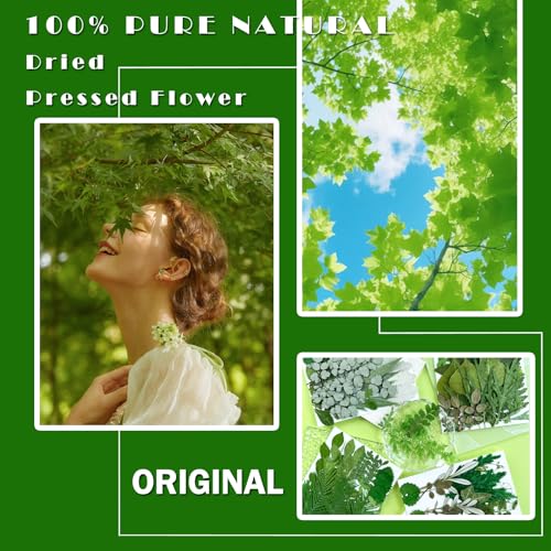 84 Pcs Natural Pressed Dried Leaves & Flowers for Resin Crafts & DIY