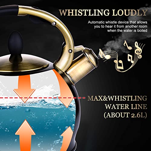 Whistling Tea Kettle, 2.7 QT Stainless Steel Stovetop Teapot with Mitt