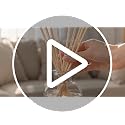 HOSSIAN Black Fibre Reed Diffuser Sticks 7.5 Inch, 50 Pcs Replacement Aromatherapy Reeds