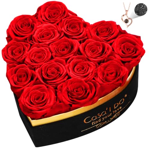 Preserved Red Roses in Heart Gift Box with 100 Languages I Love You Necklace