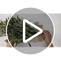 22-Inch Artificial Olive Teardrop Swag, Set of 2 Realistic Greenery Decor