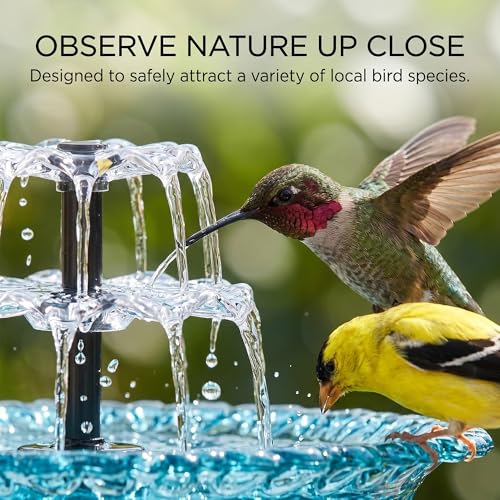 Solar Powered Glass Hanging Bird Bath Fountain for Garden Decor